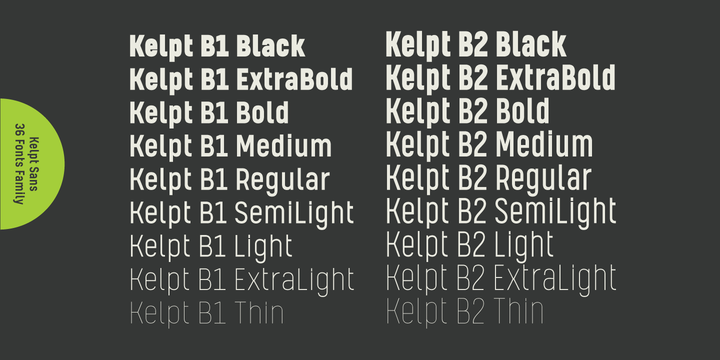 Kelpt Sans B1 Thin Font preview
